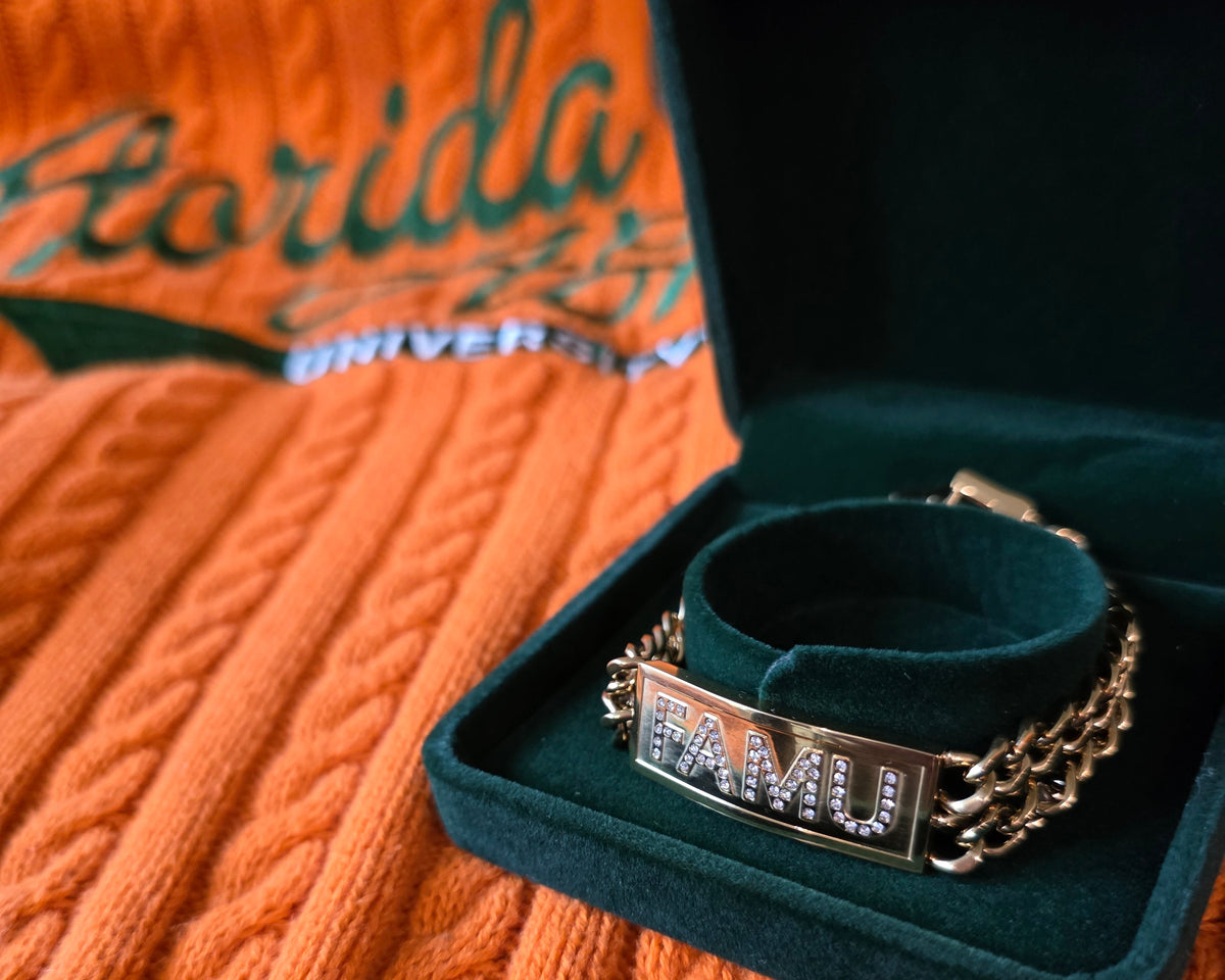 FAMU Link (NEW)