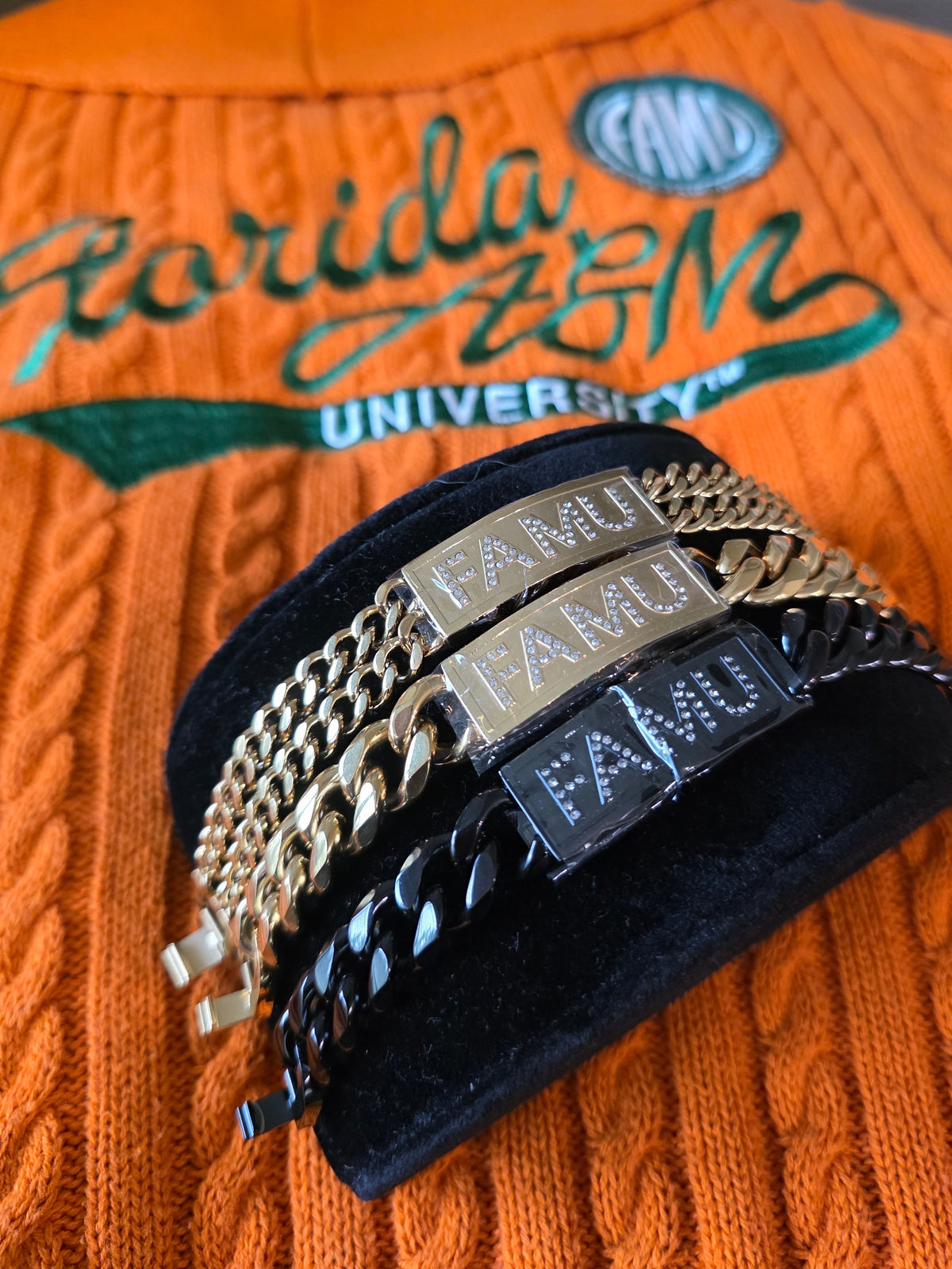 FAMU Link (NEW)