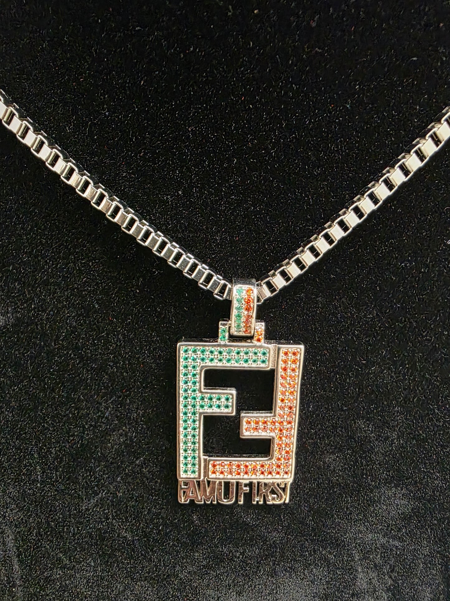 FAMU First (NEW)